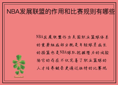 NBA发展联盟的作用和比赛规则有哪些